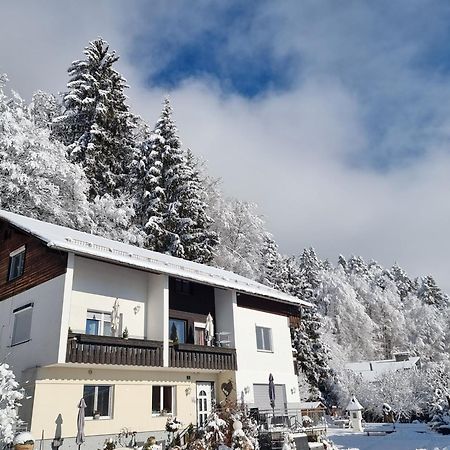 Ferienhaus Burgblick Treffen Ngoại thất bức ảnh